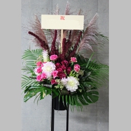 IMG_4356 ノブ国さんスタンド.jpg