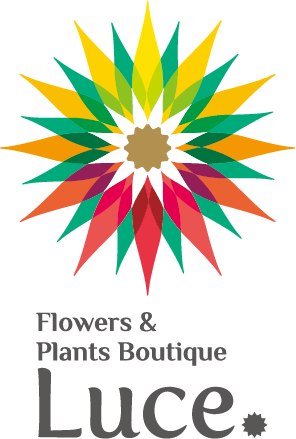 Flowers&Plants Boutique Luce